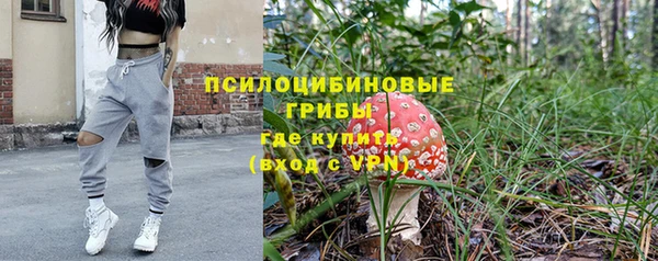 спайс Приозерск