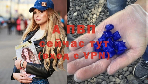 спайс Приозерск