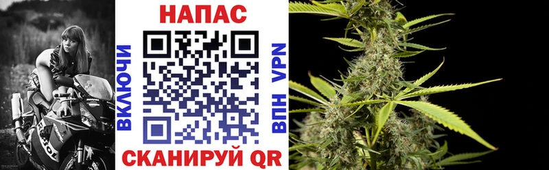 где купить наркотик  мега ссылка  Конопля тримм  это официальный сайт  Сосногорск 